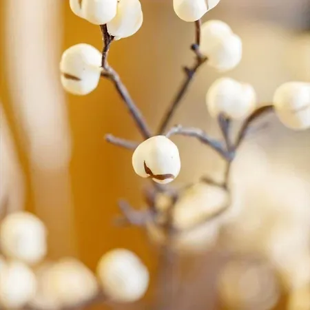 Ae303-aeroskobing-sygehusvejen-3 Nyaraló